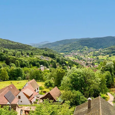 Le Petit Gite De La Vallee * Muhlbach-sur-Munster